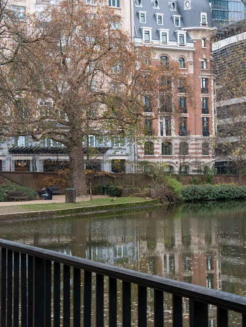 A large deciduous tree with bare branches stands on a grassy bank beside a calm waterway, reflecting the surroundings in the water. Behind the tree, there are modern and historic buildings with multiple windows and varied facades, indicating an urban environment in Marylebone. The scene is taken from a pavement featuring a black metal railing in the foreground, suggesting a pedestrian area adjacent to the water. To the left, a person is seated on a bench near a small area surrounded by bushes and shrubs. The overall setting appears to be a residential or park area within the city, captured during late autumn or winter, with diffused natural lighting. This image illustrates a peaceful outdoor environment suitable for a home relocation or furniture transport process involving house removals, as provided by Man with Van Marylebone.
